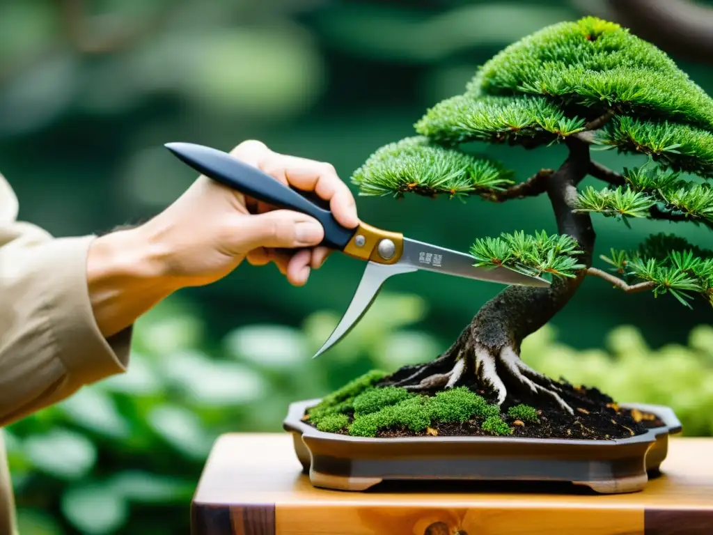 Un jardinero japonés habilidoso podando con delicadeza un bonsái en un sereno jardín japonés, demostrando técnicas tradicionales de poda japonesa