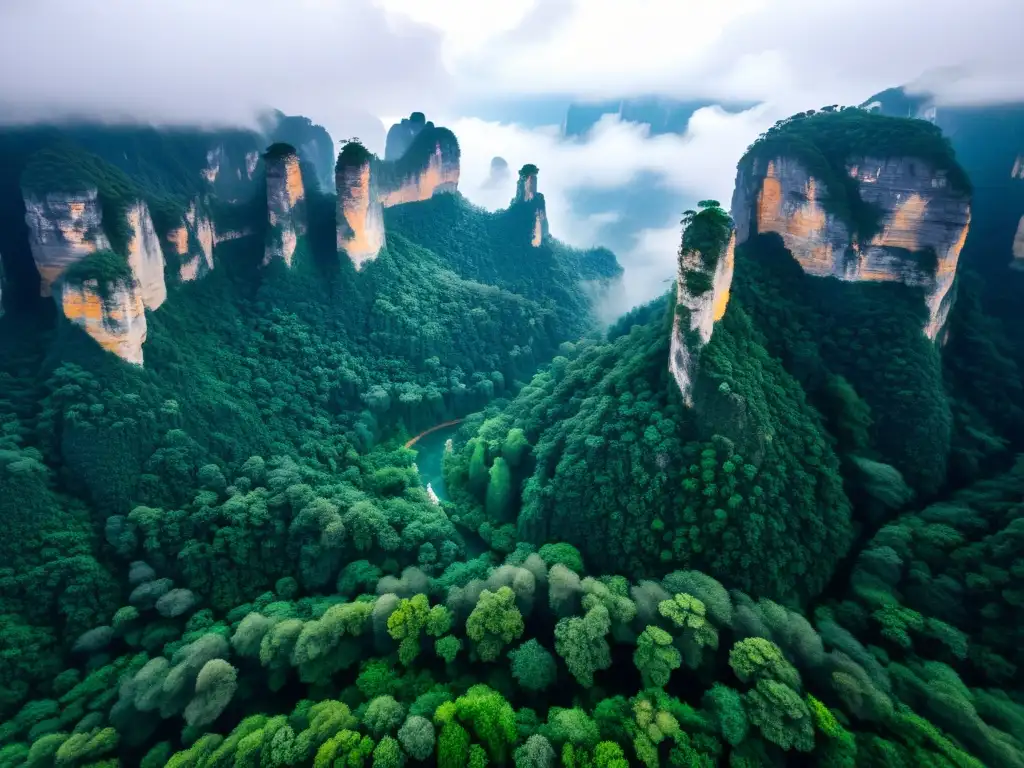 Vista aérea de Zhangjiajie National Forest Park, con sus imponentes pilares de cuarcita envueltos en niebla y exuberante vegetación